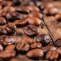 Zukunftstrends: Neue Kreuzungen und Züchtungen zwischen Arabica und Robusta – Chancen für den deutschen Markt