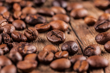 Zukunftstrends: Neue Kreuzungen und Züchtungen zwischen Arabica und Robusta – Chancen für den deutschen Markt