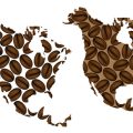Arabica vs. Robusta: Eine detaillierte Analyse der botanischen Unterschiede und was sie für den Kaffeegenuss bedeuten