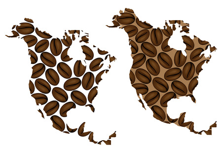 Arabica vs. Robusta: Eine detaillierte Analyse der botanischen Unterschiede und was sie für den Kaffeegenuss bedeuten