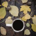 Kaffeemahlgrad, Extraktionszeit und TDS-Werte: Leitfaden für Profibaristas