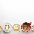 Unterschiede zwischen Einsteiger- und Profimodellen: Worauf sollte man achten?