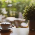 Die Ankunft des Kaffees in Deutschland: Historische Hintergründe
