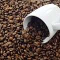 Saisonaler und klimafreundlicher Kaffeegenuss: Geht das überhaupt?