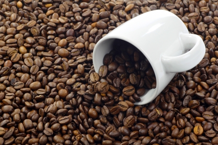 Saisonaler und klimafreundlicher Kaffeegenuss: Geht das überhaupt?