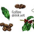Mythos entlarvt: Stört Kaffee am Nachmittag wirklich den Nachtschlaf?