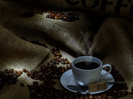 Wie Start-ups die Zukunft der nachhaltigen Kaffeebranche in Deutschland gestalten