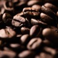 Nachhaltigkeit und Bio-Kaffee: Neue Trends in der deutschen Kaffeekultur