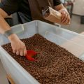 Die Geschichte der Kaffeekultur in Deutschland: Von den Anfängen bis zur Gegenwart
