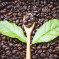 Nachhaltigkeit und Fair Trade: Kaffeebeschaffung in der Sterne-Gastronomie Deutschlands
