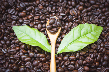 Nachhaltigkeit und Fair Trade: Kaffeebeschaffung in der Sterne-Gastronomie Deutschlands