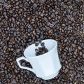 Die Grundlagen der Kaffeeröstung zu Hause: Ein Leitfaden für Einsteiger
