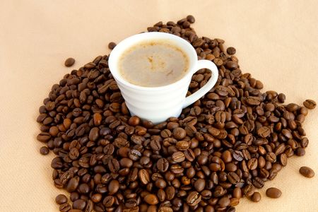 Wildgerichte mit Kaffee: Hirschragout und aromatische Saucen