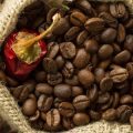Die Auswirkungen des globalen Kaffeemarkts auf den ökologischen Fußabdruck – Eine Analyse aus deutscher Perspektive