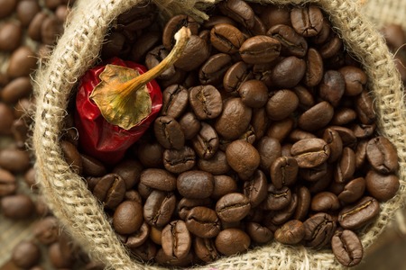 Die Auswirkungen des globalen Kaffeemarkts auf den ökologischen Fußabdruck – Eine Analyse aus deutscher Perspektive