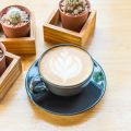 Die Geschichte der deutschen Kaffeeröstereien: Tradition und Innovation im Wandel der Zeit
