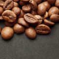 Slow Coffee und Third Wave: Wie neue Kaffeetrends in Deutschland den ökologischen Fußabdruck mitgestalten