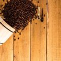 Von der Bohne zur Tasse: Wie beginnt nachhaltiger Kaffeeanbau unter dem Einfluss des Klimawandels?