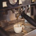 Regenerative Landwirtschaft im Kaffeeanbau: Chancen zur Reduzierung des ökologischen Fußabdrucks für den deutschen Markt