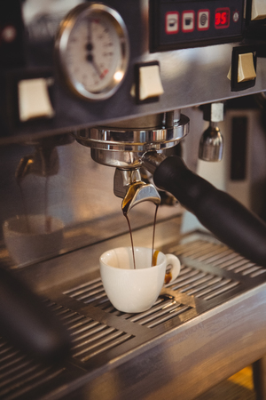 Regenerative Landwirtschaft im Kaffeeanbau: Chancen zur Reduzierung des ökologischen Fußabdrucks für den deutschen Markt