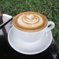 Vietnamesischer Kaffee: Vom Anbau bis zur landestypischen Röstung