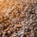 Wasserfilter und Wasserqualität: Trinkwasser in Deutschland und seine Auswirkung auf den Kaffeegeschmack