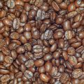 Regionale Unterschiede im Kaffeegenuss: Von Norddeutschland bis Bayern