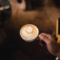 Glaubwürdigkeit von Fair-Trade-Siegeln im deutschen Kaffeemarkt
