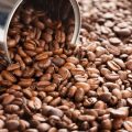 Kaffeefestivals in Deutschland: Förderung von Spezialitätenkaffee und Direct Trade