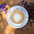 Herausforderungen und Chancen für deutsche Kaffeeröster beim Direct Trade mit Ursprungsländern