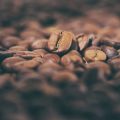 Kaffee und Pilze: Herbstliche Gerichte aus deutschen Wäldern
