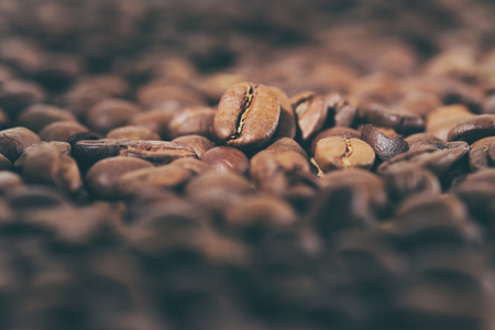 Kaffee und Pilze: Herbstliche Gerichte aus deutschen Wäldern