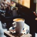 Bio-Kaffee in Deutschland: Die wichtigsten Akteure unter den Röstereien